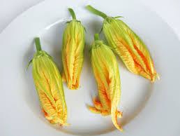 gevulde courgette bloemen