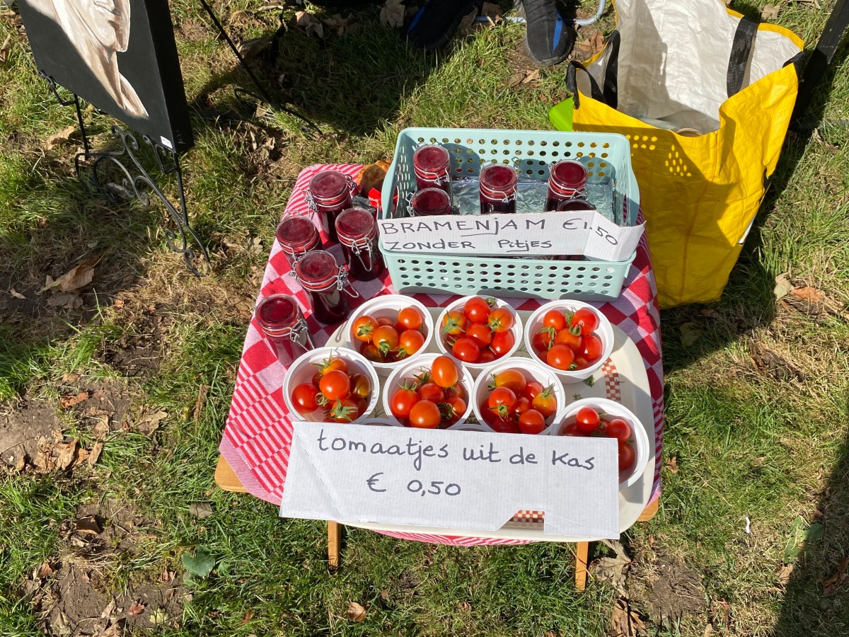 Geslaagde open dag&nbsp;2024